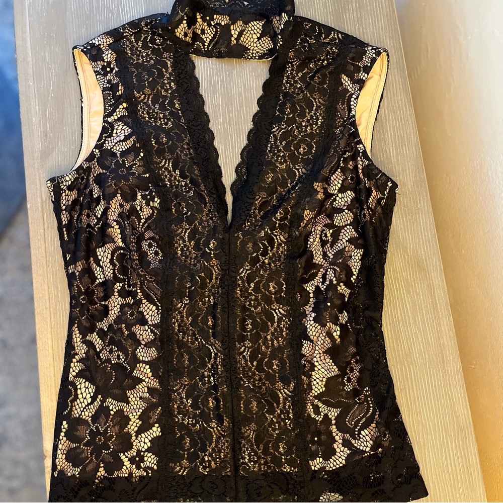 COPY - Bebe Black V-neck stretch Lace Sleeveless Choker. Back: zipper
